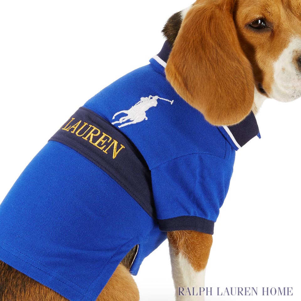 ラルフローレン ドッグウェア（犬用）／Ralph Lauren Home : エンブロイダーコットンドッグポロ／Embroidered