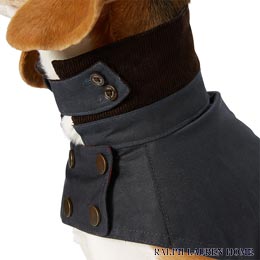ラルフローレン ドッグウェア（犬用）／Ralph Lauren Home : Coated Cotton Dog Coat